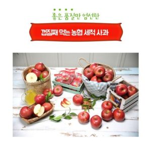 SNS에서 난리난 2023 거창조공 햇 보조개 사과_부사_6kg 행복감up