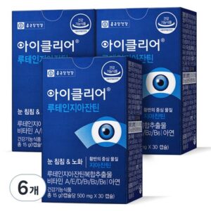 인플루언서 강추 고려은단 루테인 지아잔틴 아스타잔틴 6박스쇼핑백 2장 만족감up