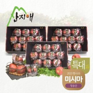 요즘 인기 씻어나온 미시마 사과 9kg 2739과  만족감up