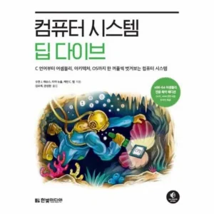 인플루언서 강추 컴퓨터시스템딥다이브 행복감up