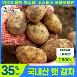 잘 팔리는 이유는? ​2024 요즘 sns에서 난리난 [산지직송] 감자 햇감자 3kg/5kg/10kg Potato  리뷰 최다로 엄선된 최고의 제품을 소개합니다. 할인 특집전