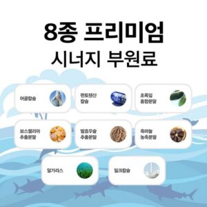 장인의 솜씨 방송에 나온 관절엔 콘드로이친1200  바로 이것입니다. 합리적인 가격