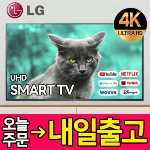 간편확인 방송에 나온 LG 울트라 HD TV 217cm&nbsp; 바로 이것입니다.
