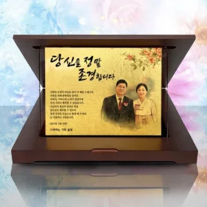 초특급 패키지 방송에 나온 감사패&nbsp; 바로 이것입니다. 핫한상품