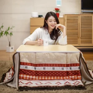 소문 듣고 왔습니다. 방송에 나온 코타츠  바로 이것입니다. 패키지