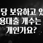 최저가로 모시는 1인당 보유하고 있는 신용대출 개수는 몇 개인가요? 확인하시죠