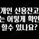 가성비 좋은 개인 신용잔고는 어떻게 확인할수 있나요? 바로 클릭