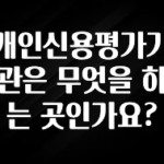 “꼭” 알려주세요 개인신용평가기관은 무엇을 하는 곳인가요? 요약정리