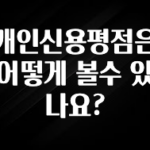 sns소식 개인신용평점은 어떻게 볼수 있나요? 꼭 알아두세요