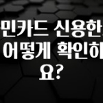 놓치지말고 국민카드 신용한도는 어떻게 확인하나요? 요약본만 확인해보세요