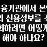 올해 필수 금융기관에서 본인의 신용정보를 조회하려면 어떻게 해야 하나요? 정직하게 소개해보겠습니다