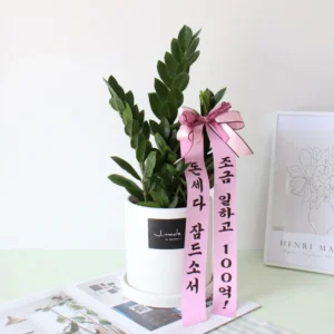 무료 배포Event 금전수 알려드립니다
