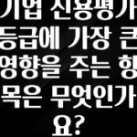 일단 무조건 저장하기 기업 신용평가 등급에 가장 큰 영향을 주는 항목은 무엇인가요? 리뷰 해보겠습니다