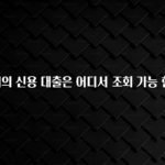 금주의 인기 내 명의의 신용 대출은 어디서 조회 가능 한가요? 궁금하시죠?