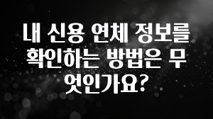 “후기” 꼭보세요 내 신용 연체 정보를 확인하는 방법은 무엇인가요? 군말없이 소개합니다