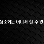 인플루언서가 공개한 빚 신용조회는 어디서 할 수 있나요? 아주 좋은 정보입니다