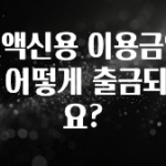 (올해 꼭 확인 소식) 소액신용 이용금액은 어떻게 출금되나요? 지금 바로 공개합니다