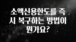베스트 소액신용한도를 즉시 복구하는 방법이 뭔가요? 지금떳다