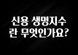 후회하지 않는 신용 생명지수란 무엇인가요? 알려드립니다