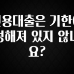 바로 확인가능한 신용대출은 기한이 정해져 있지 않나요? 후회하지 않습니다