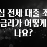 방금 전달받은 안심 전세 대출 조건과 금리가 어떻게 되나요? 실간 리뷰