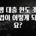 정성을 담은 은행 대출 한도 조회 방법이 어떻게 되나요? 좋은 정보