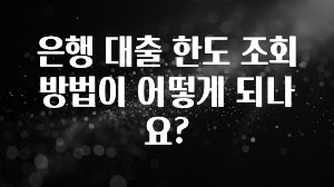정성을 담은 은행 대출 한도 조회 방법이 어떻게 되나요? 좋은 정보