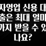 바로 확인가능한 자영업 신용 대출은 최대 얼마까지 받을 수 있나요? 요약정리