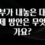 추가소식 정부가 내놓은 대출규제 방안은 무엇인가요? 꼭 알아두세요