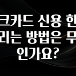 sns소식 체크카드 신용 한도 늘리는 방법은 무엇인가요? 실사용 후기