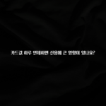 이달의 핫 카드값 하루 연체하면 신용에 큰 영향이 있나요? 실사용 후기