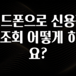 금주의 인기 핸드폰으로 신용정보 조회 어떻게 하나요? 아쉬움이 없습니다