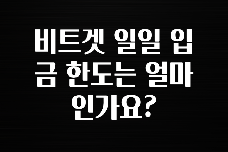 정보 대박 비트겟 일일 입금 한도는 얼마인가요? 정리했습니다