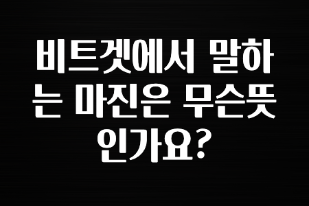 꼭 사용ㅇ하자 비트겟에서 말하는 마진은 무슨뜻인가요? 확인 부탁드립니다.