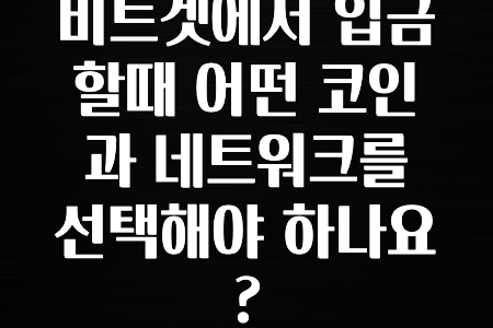 꼭 사용ㅇ하자 비트겟에서 입금할때 어떤 코인과 네트워크를 선택해야 하나요? 알려드립니다