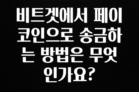 해외인기 비트겟에서 페이코인으로 송금하는 방법은 무엇인가요? 바로공개합니다