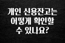 추가정보 떳다 개인 신용잔고는 어떻게 확인할수 있나요? 궁금하시죠?