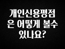 재구매율 1위 개인신용평점은 어떻게 볼수 있나요? 리뷰가 많습니다