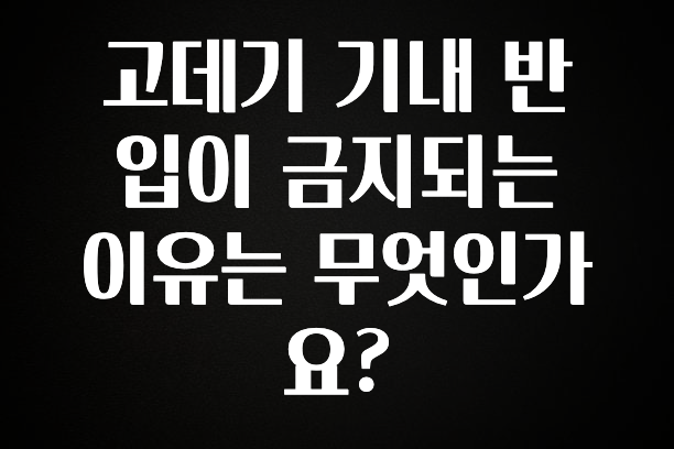 모두가 찾는 고데기 기내 반입이 금지되는 이유는 무엇인가요? 추천드릴게요