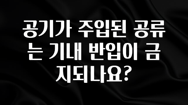 꼭 봐야하는 리스트 공기가 주입된 공류는 기내 반입이 금지되나요? 최신정보
