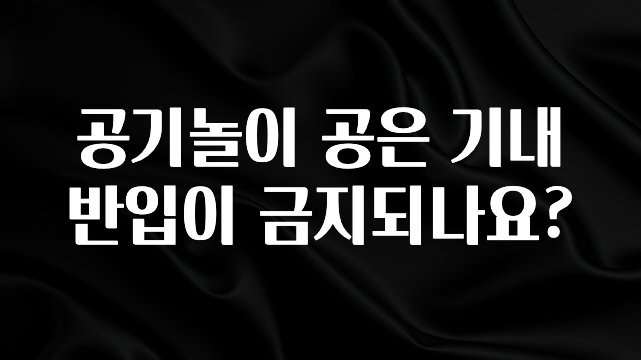 이렇게 달라졌다고? 공기놀이 공은 기내 반입이 금지되나요? 전해드립니다