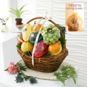금주의 인기 과일바구니 좋은 정보