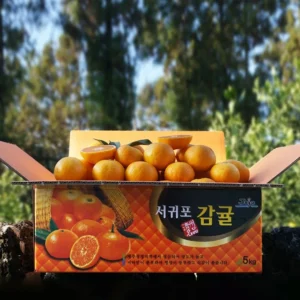 요즘 반응좋은 귤 알짜배기만 골라가세요