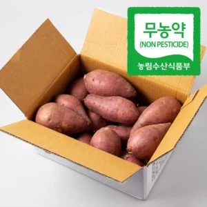 이번 선물은 꼭 김의준고구마 한 번에 알려드립니다