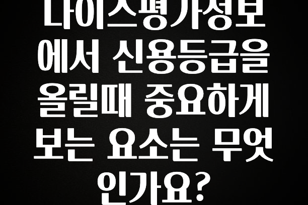 놓치지말고 나이스평가정보에서 신용등급을 올릴때 중요하게 보는 요소는 무엇인가요? 소개합니다