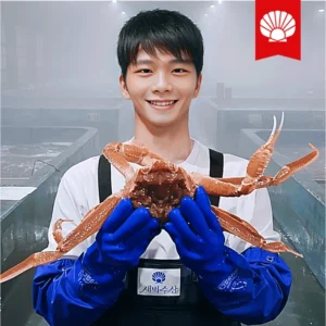 금주의 인기 대게 리뷰 해보겠습니다