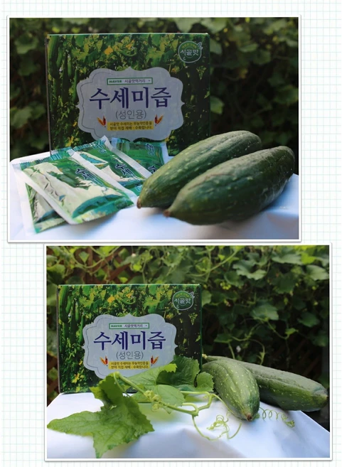 간단정보 수세미즙 업데이트된 소식입니다