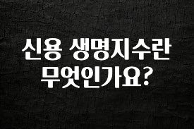 베스트 신용 생명지수란 무엇인가요? 후회하지 않습니다