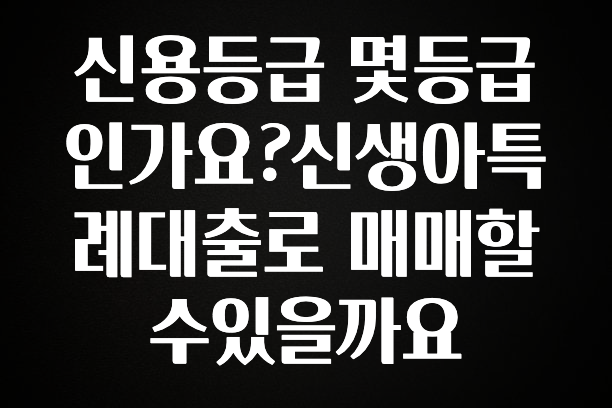 이건”꼭” 알아보자 신용등급 몇등급인가요?신생아특례대출로 매매할수있을까요 확인해보세요