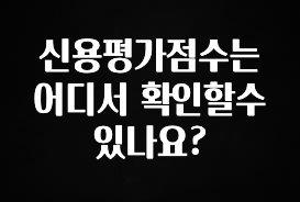 우리도 이렇게 하자 신용평가점수는 어디서 확인할수 있나요? 실간 리뷰